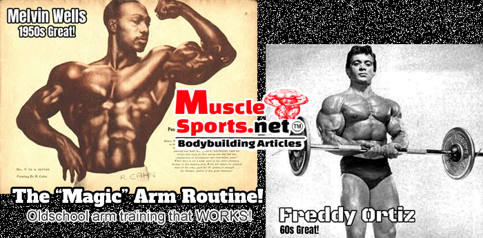 Bodybuilding Magic Arm Routine